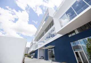 西藏AIV抗体检测卡现货