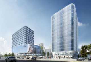 奉贤区健康猫咪定制选购