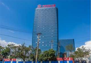 上海高频超声波探头供应商